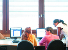 Software/Web Engineering (2007-10)